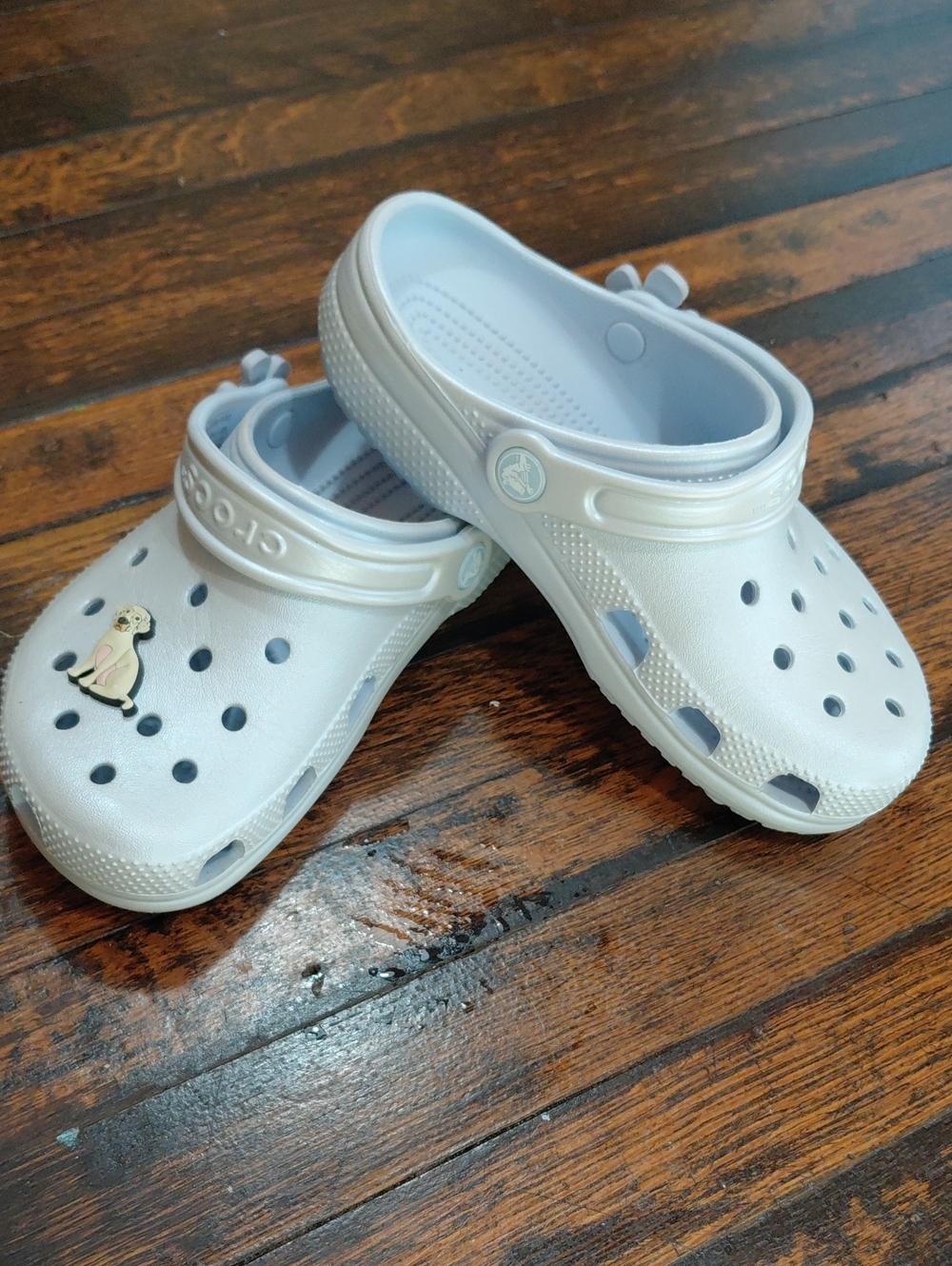CROCS Kids Classic Clog in Pearl White with Dog Charm